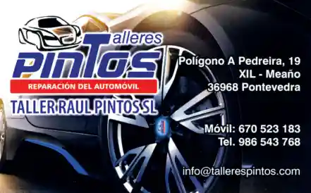 Talleres Pintos